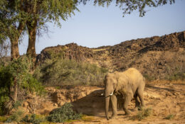 Namibia_August (124/135)